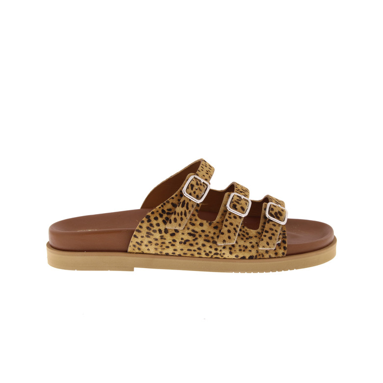 Ctwlk thong slippers camel 1