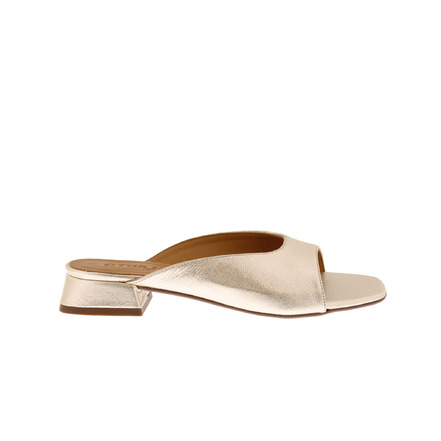 Ctwlk slippers goud