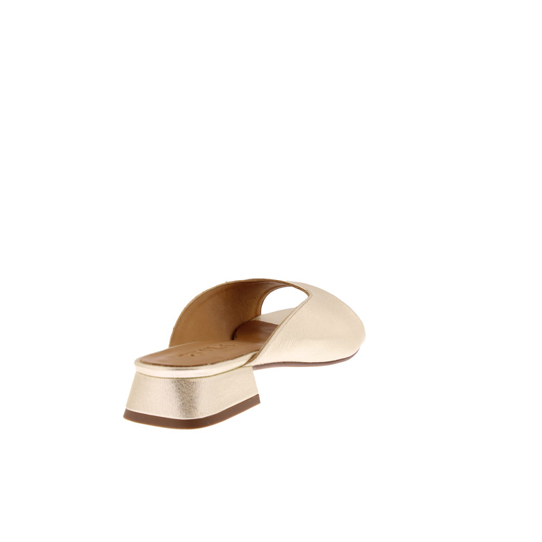 Ctwlk slippers goud 4
