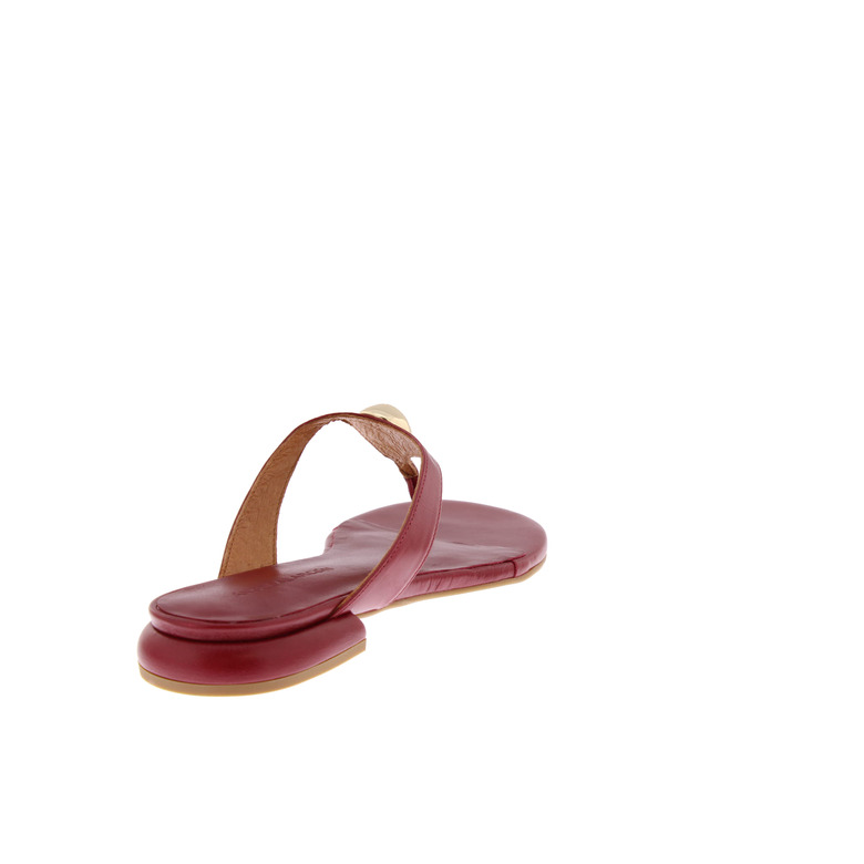 Angel Alarcon thong slippers red 4