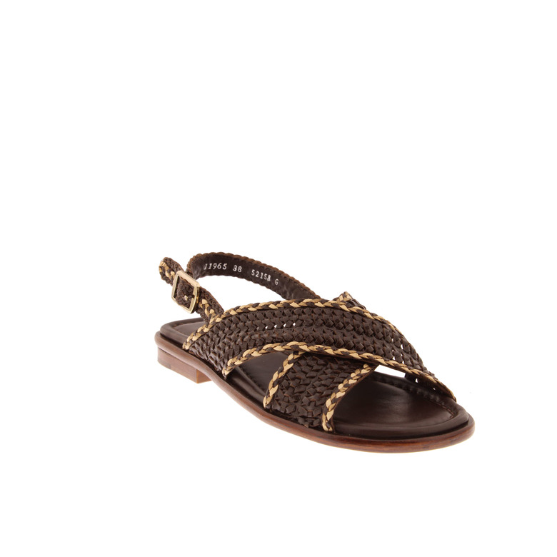 Pons Quintana sandalen bruin 2