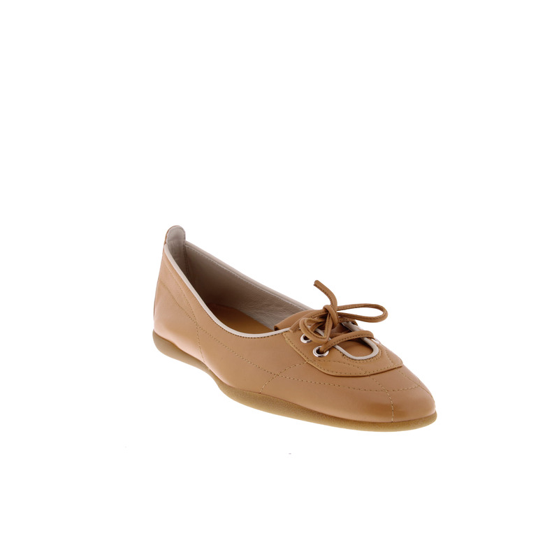 Halmanera ballerina's camel 2