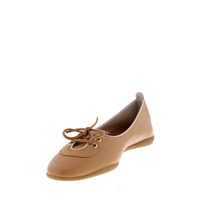 Halmanera ballerina's camel 3