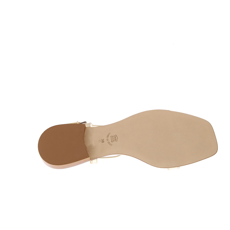 Pascucci sandalen gold 5