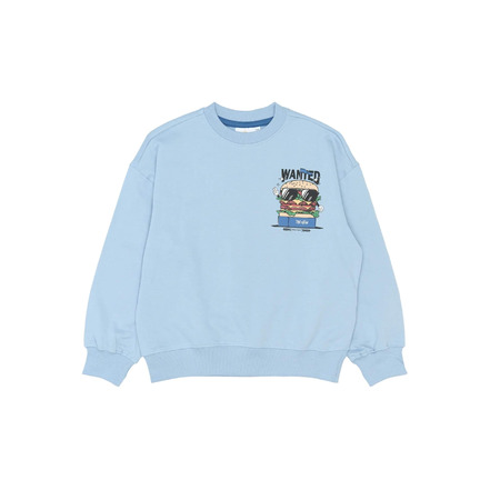 The New sweater blauw