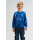 The New sweater blauw 2