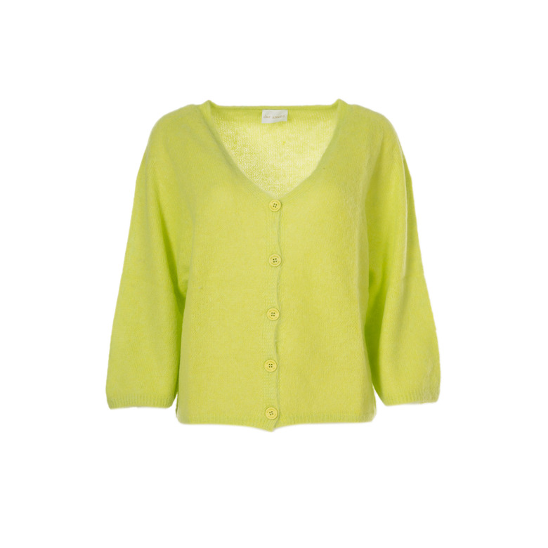 Due Amanti cardigan groen 1