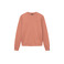 Antwrp sweater oranje 1