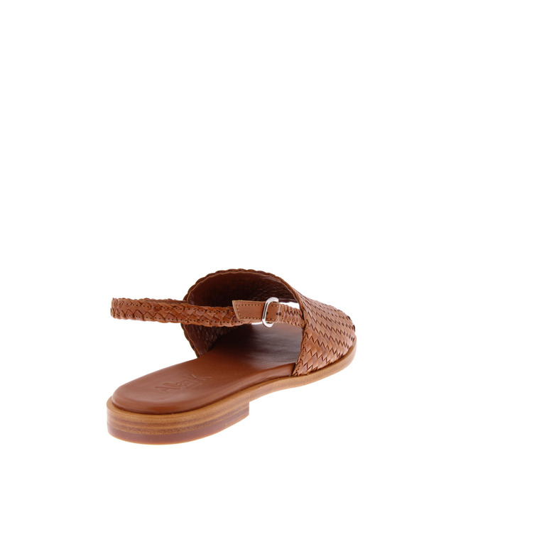 Allan K sandales camel 4