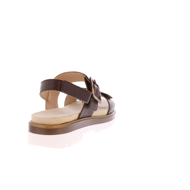 Ara sandalen bruin 4