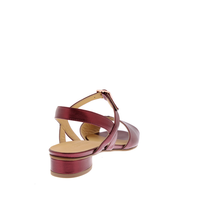 Atelier Content sandalen bordeaux 4