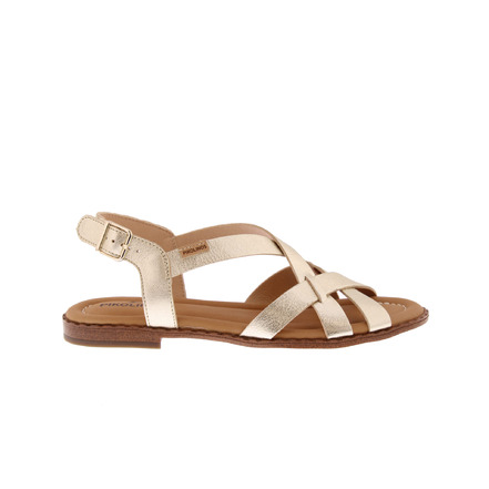 Pikolinos sandalen goud