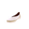 Verbenas ballerina's wit 3