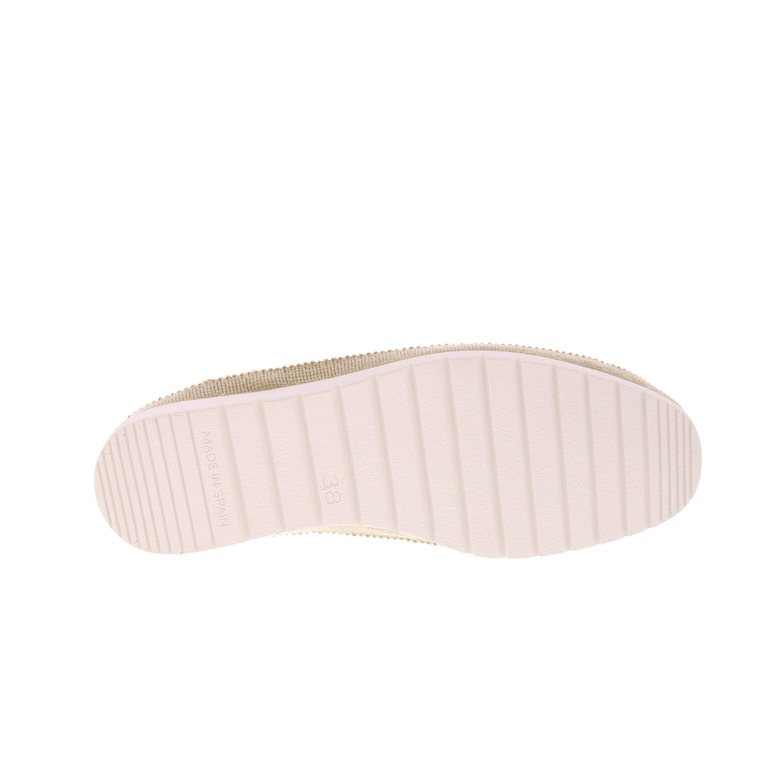 Verbenas ballerina's wit 5