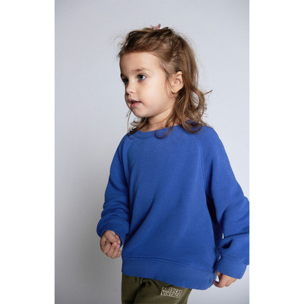 American Vintage sweater blauw