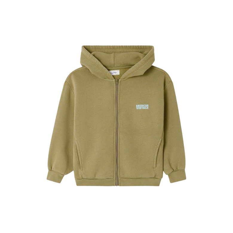 American Vintage hoodie groen 1