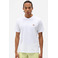 Dickies t-shirt wit 2
