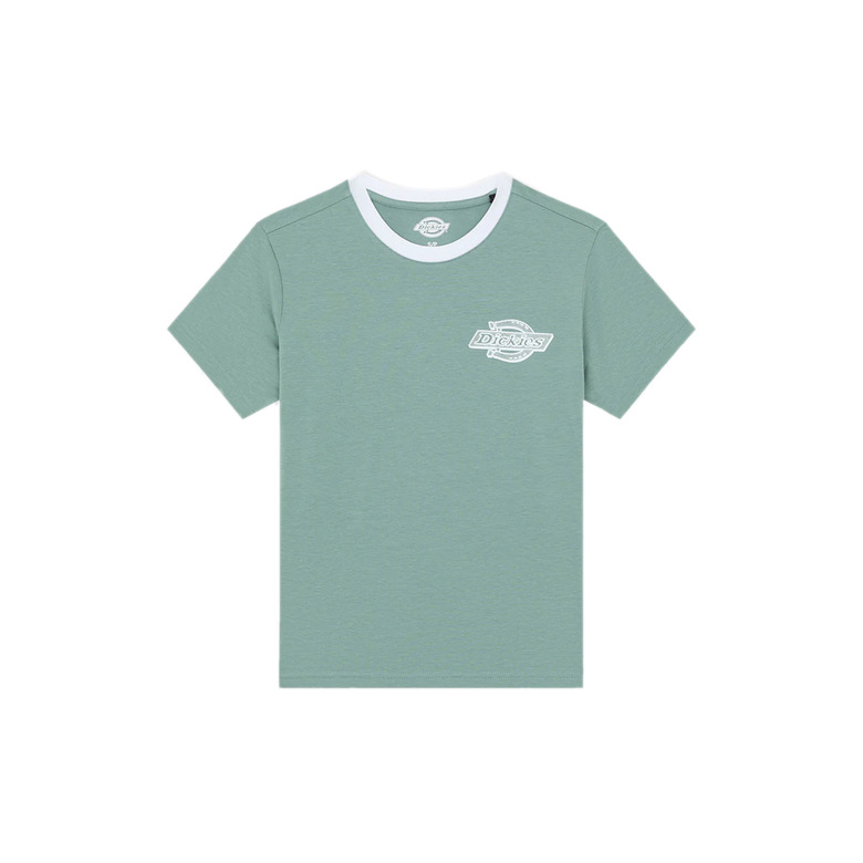 Dickies t-shirt groen 1