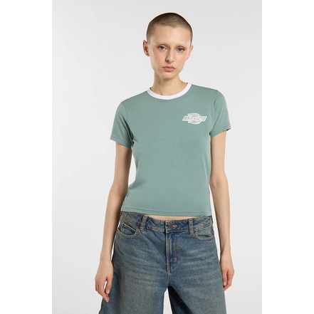 Dickies t-shirt groen