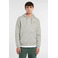 Dickies hoodie grijs 2