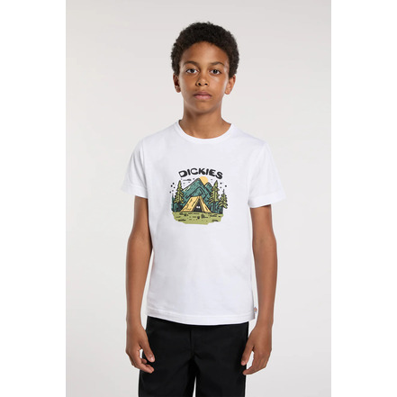 Dickies t-shirt blauw