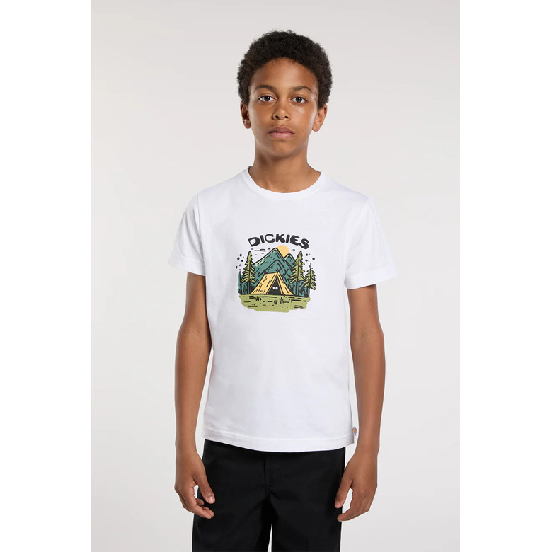 Dickies t-shirt blauw 2