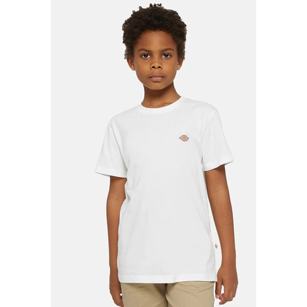 Dickies t-shirt wit