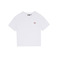 Dickies t-shirt wit 1