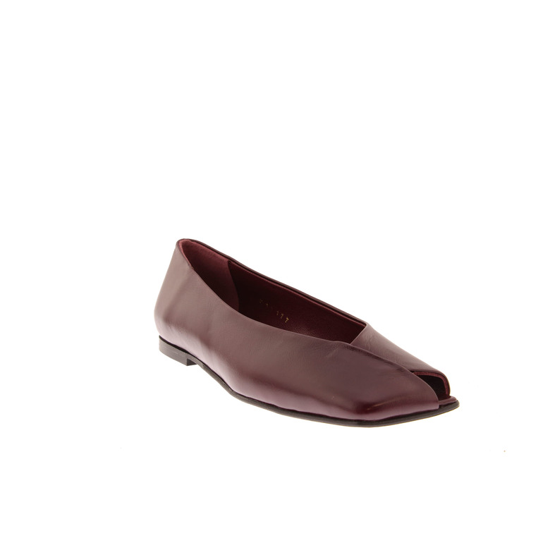 Alohas ballerina's bordeaux 2