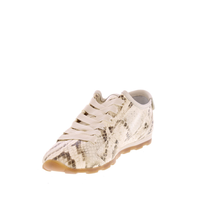 Stokton sneakers ecru 3