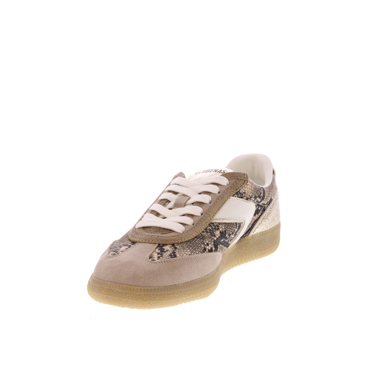 Verbenas sneakers taupe 3