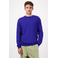 Castart sweater blue 2