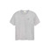 New Amsterdam Surfassociation t-shirts grey 1