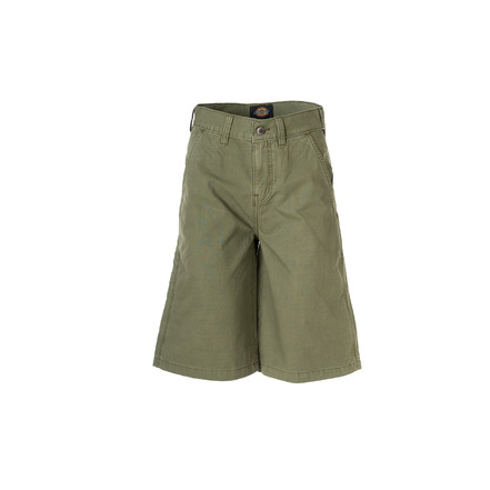 Dickies short groen