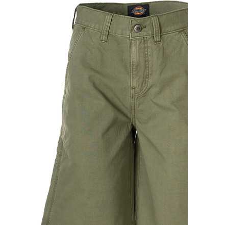 Dickies short groen