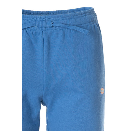 Dickies short blauw