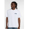 Dickies t-shirt wit 2