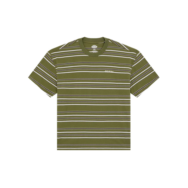 Dickies t-shirt groen 1