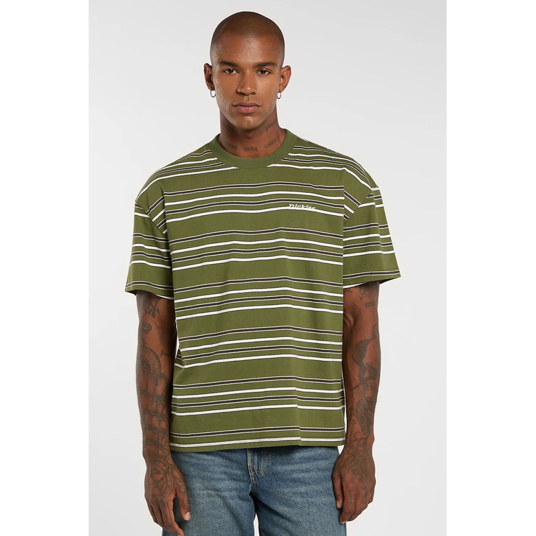 Dickies t-shirt groen 2