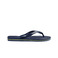 Havaianas slippers blauw 1