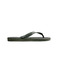 Havaianas slippers groen 1