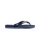 Havaianas slippers blauw 1