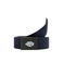 Dickies ceinture bleu 1
