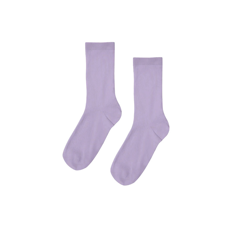 Colorful Standard socks violet 1