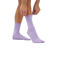 Colorful Standard socks violet 2