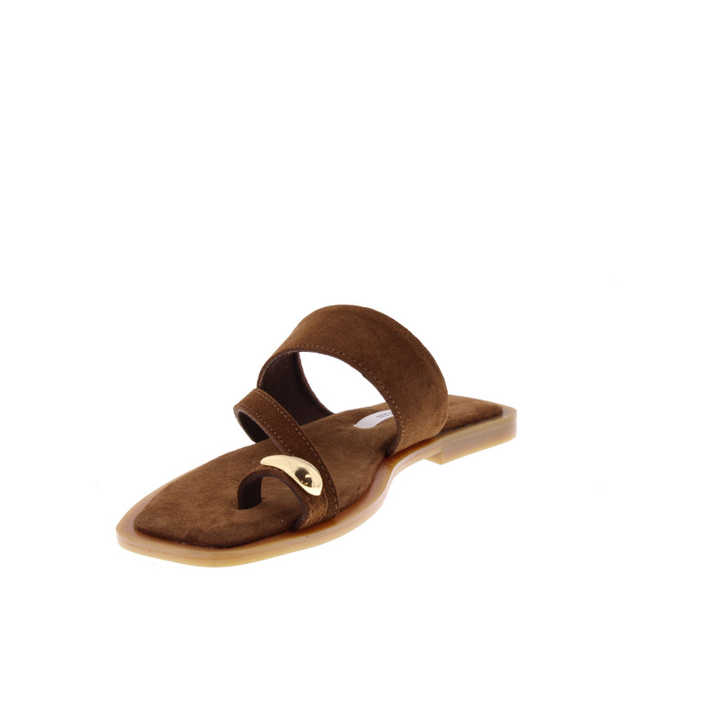 Steve Madden thong slippers cognac 3