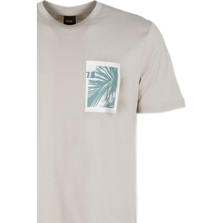 Boss t-shirt grijs 2