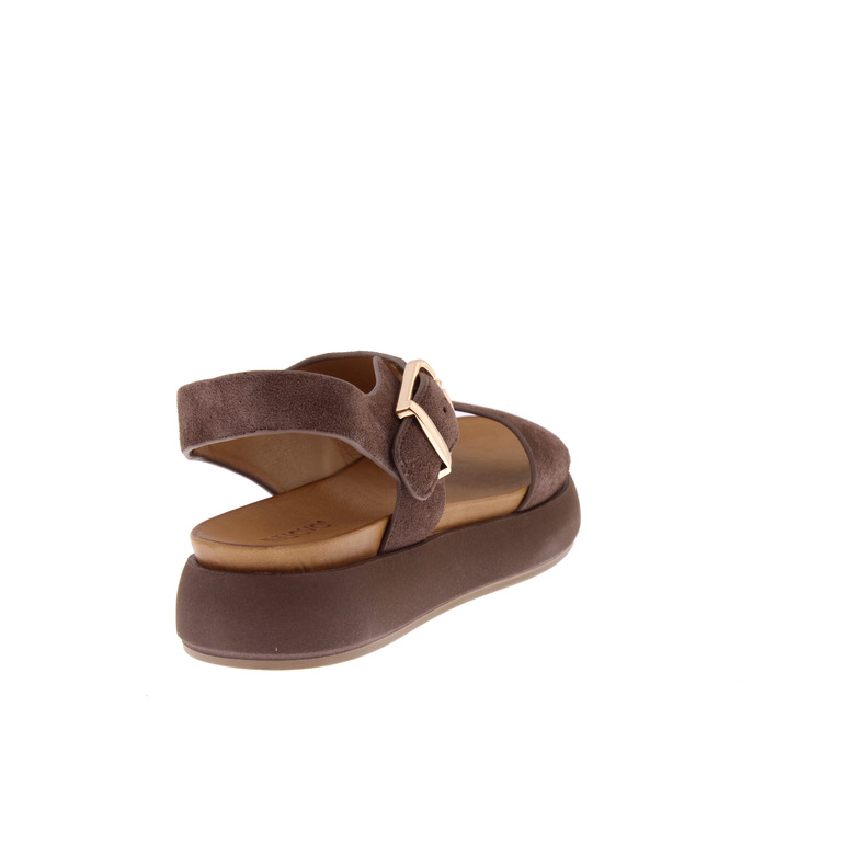 Inuovo sandales brun 4