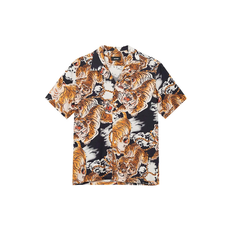 Antwrp shirt multicolor 1