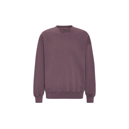 Colorful Standard sweater violet